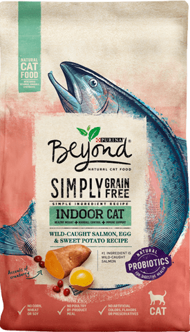 Purina beyond dry cat food top